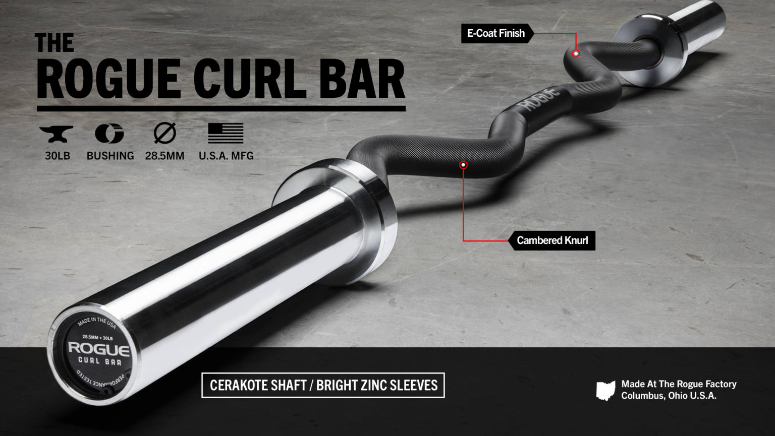 Ez curl bar rogue hotsell